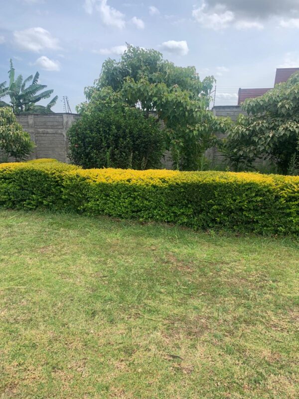6 bedroom mansionette at Cianda kiambu rd - Image 6