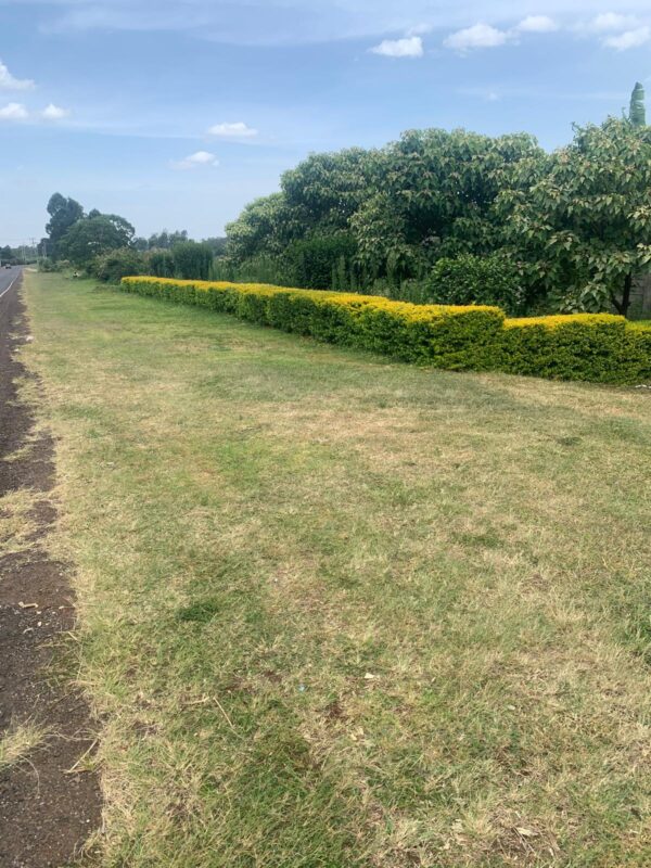 6 bedroom mansionette at Cianda kiambu rd - Image 4